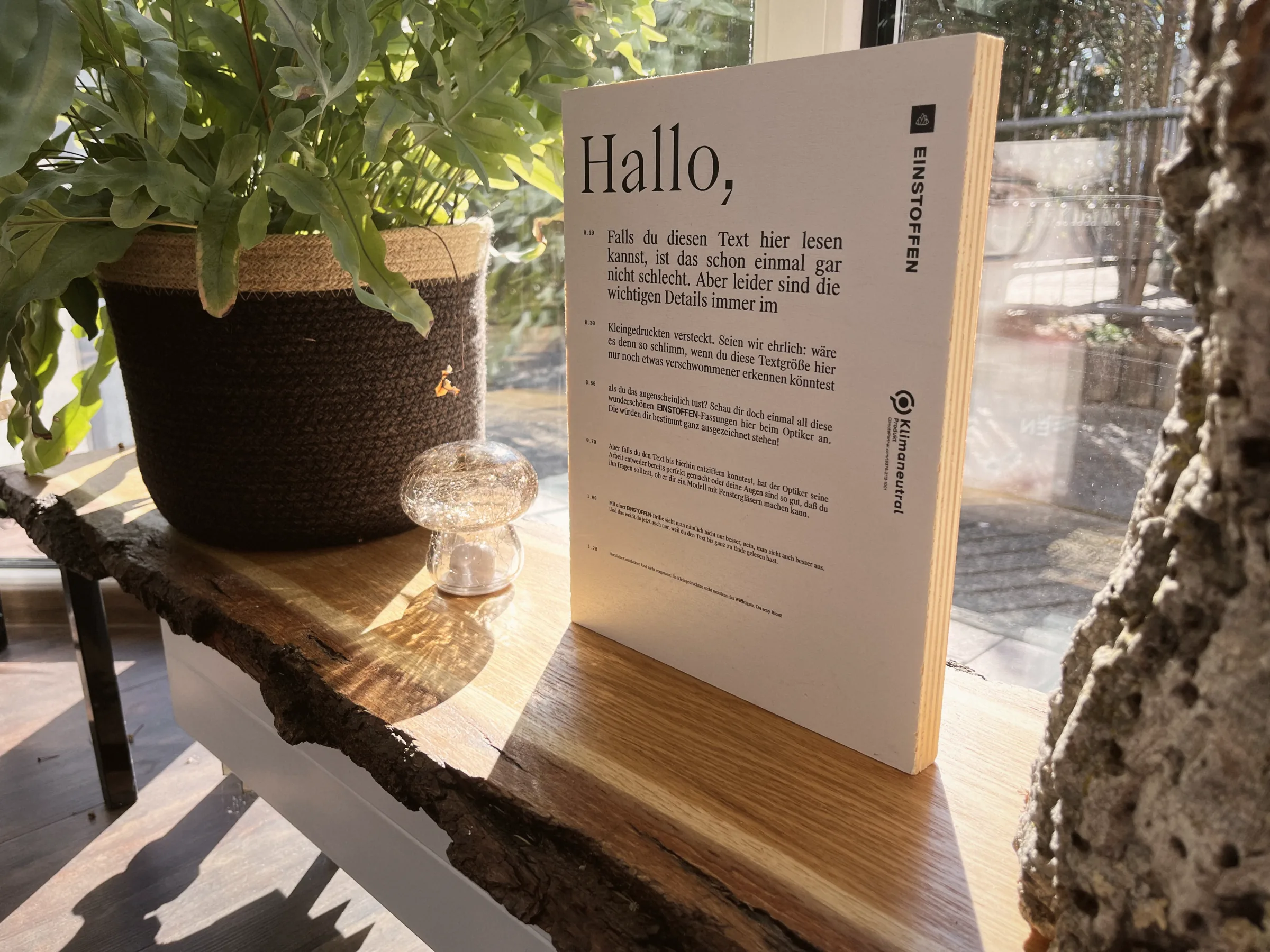 Ein Aufsteller mit immer kleiner werdendem Text steht neben einer Pflanze auf einer Holzbank am sonnigen Fenster.